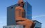 CORPUS