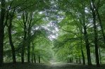 L’Amsterdamse Bos
