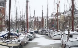 Holanda en Navidad - KEUKENHOF: MILLONES DE FLORES ANUNCIAN LLEGADA PRIMAVERA ✈️ Foro Holanda, Bélgica y Luxemburgo