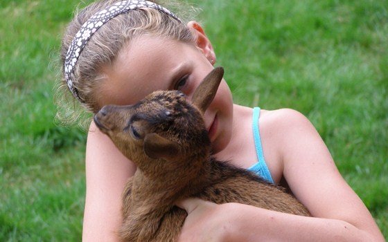 d'olde kamp kinderboerderij