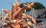 Flower Parade Zundert