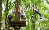 Fun Forest