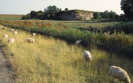 View of Fort Rammekes
