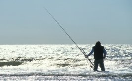 Fishing in Holland