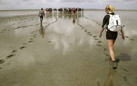Group of people hiking in the wadden