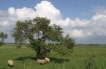 Zeeuws-Vlaanderen