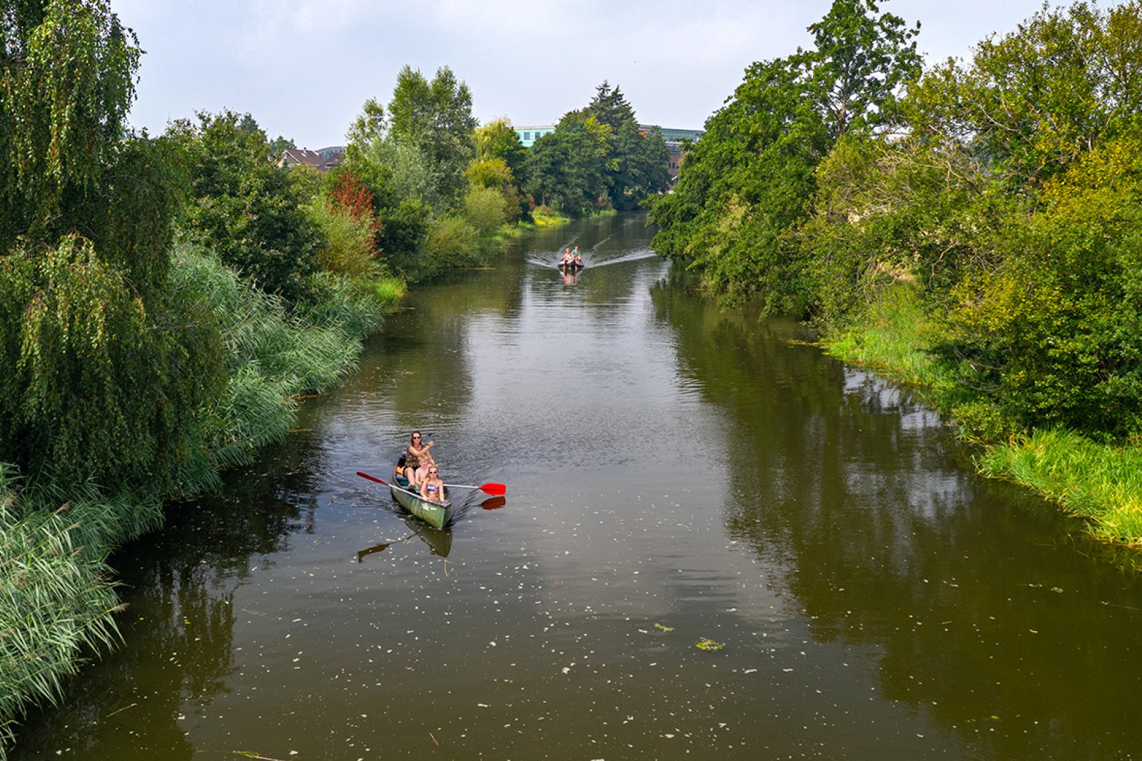 Canoeing down the Regge Sallandse Heuvelrug
