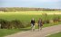 Friesland