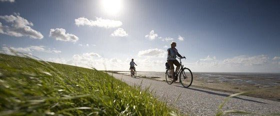 Bicycle holidays in Holland
