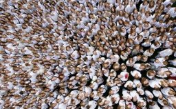 Boletín julio 2011