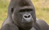 ベークセ・ベルゲン・サファリパーク