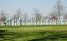 Commonwealth War Cemeteries in Holland