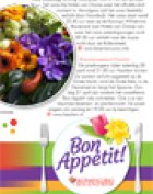 Keukenhof brochure