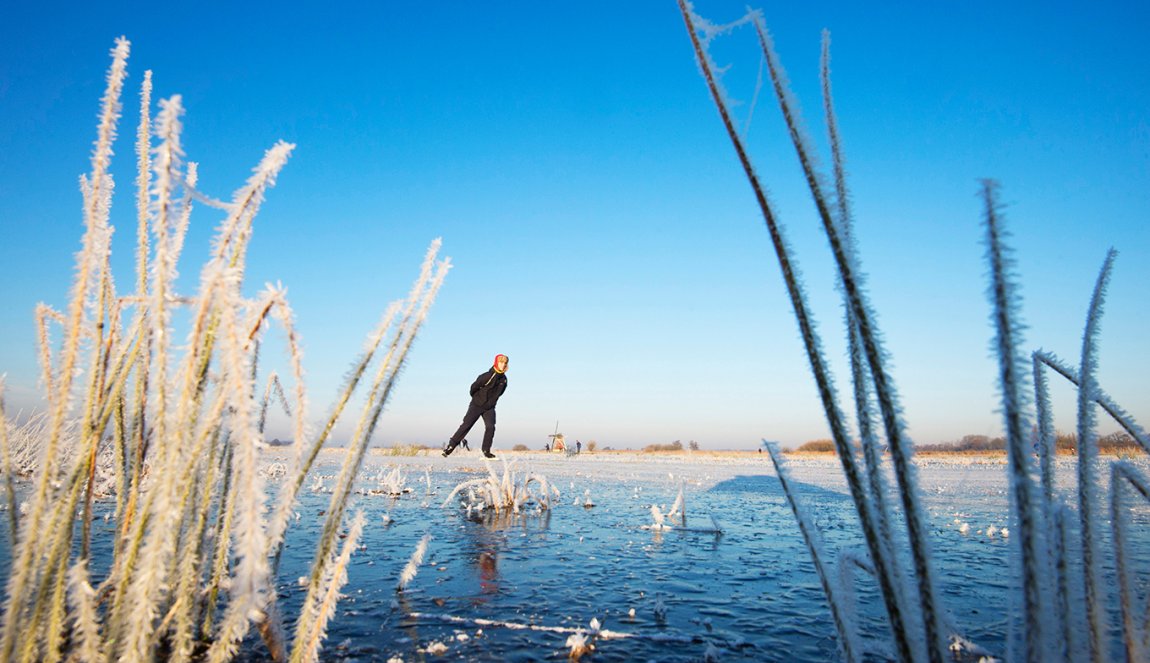 Frozen reed with a skater on the ice and mill Friesland.