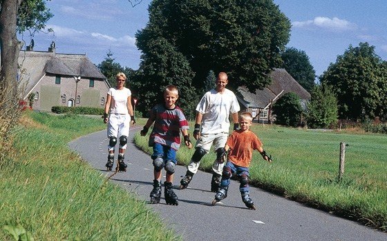 An family skating 