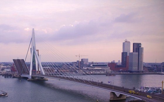 A distant view of the Erasmusbridge