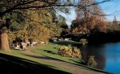 Hortus Botanicus