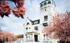 Castillo Mookerheide