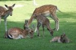 Kasteelpark Born