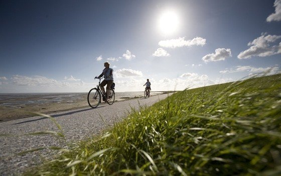 People cycling near the Waddensea
