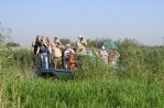 Nationaal Park De Biesbosch