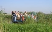 Nationaal Park De Biesbosch