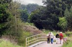 Die Amsterdamse Waterleidingduinen