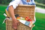 Picknicken in Nederland