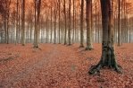 Noord-Brabant