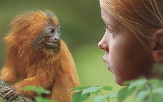 Girl with a monkey at the Apenheul in Apeldoorn