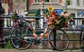 Types of bikes in Holland