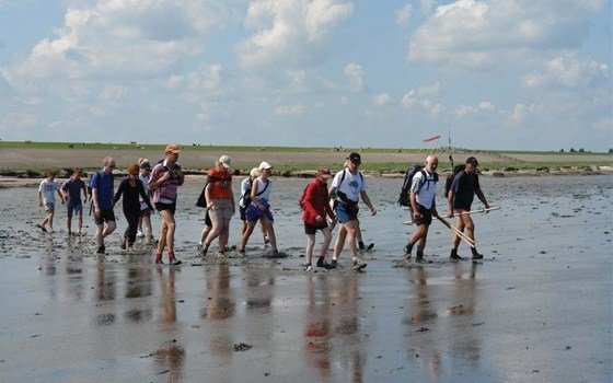 people walking