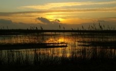 Beleef de natuur