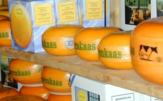 Cheese