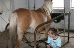 Riga Ranch