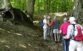 Nordic walking route in Flevoland