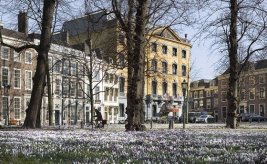The Hague Royal walking tour