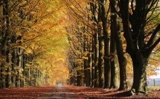 Drenthe