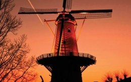 Día del Molino de Viento (12 y 13 de mayo)