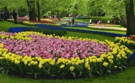 Il Parco floreale Keukenhof 