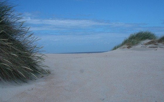 beach and dunes landscape