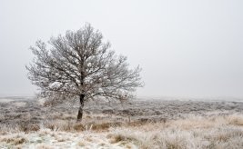 Drenthe