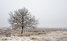 Drenthe