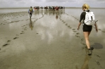 Wadlopen