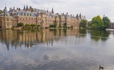 The Hague