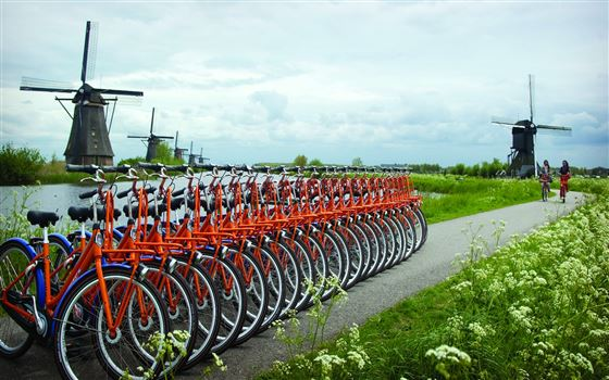 NOTICIAS DE HOLANDA. SEPTIEMBRE 2014 - Holanda - 2013 llega cargado de celebraciones ✈️ Foro Holanda, Bélgica y Luxemburgo