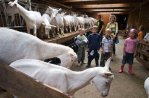 Boerderij 't Geertje