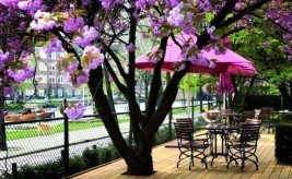 Summer meeting deal at Okura Amsterdam