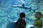Zee Aquarium Bergen aan Zee