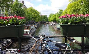 6. Enjoy the canals 6. Enjoy the canals